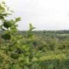 affiche A la découverte du patrimoine viticole du Soissonnais - Journées du Patrimoine 2022
