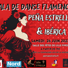 affiche Gala de Danse Flamenco Lille 2023 Peña Estrella & Ibérica